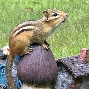 Meet your Posher, Colin